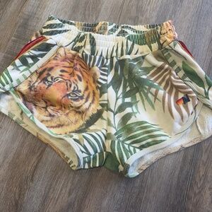 Aviator nation shorts